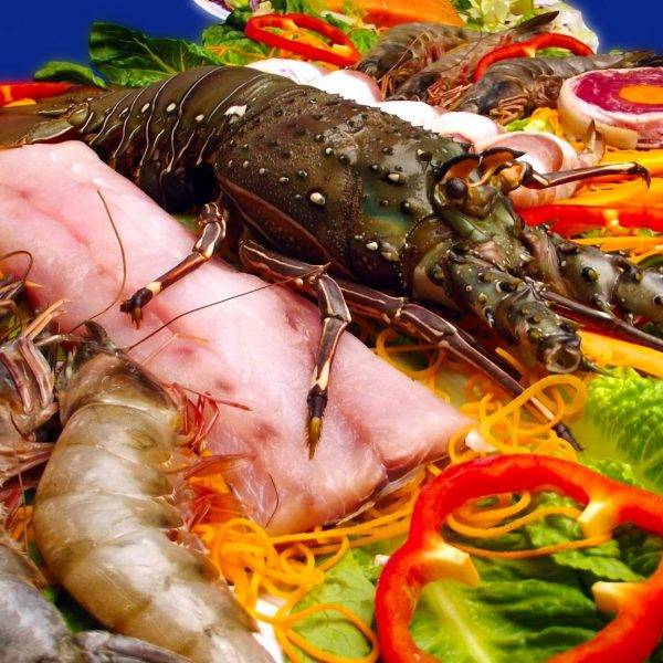 sea-food-shrimp-lobster-sea-fish-gourmet